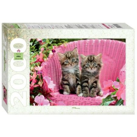 Пъзел Cute Kittens 2000 елемента 
